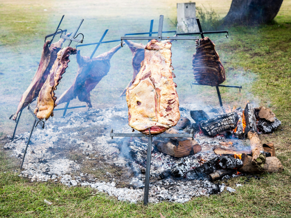 How to Butcher Meat in the Field or at Camp (Step-by-Step Guide)