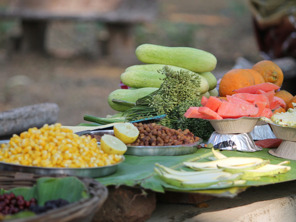From Firewood to Feast: Preparing Ingredients in the Wild