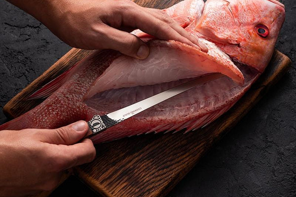 Breaking Down The Perfect Fillet Knife