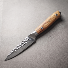 Silver Dynasty 4" Paring Knife - TheCookingGuild