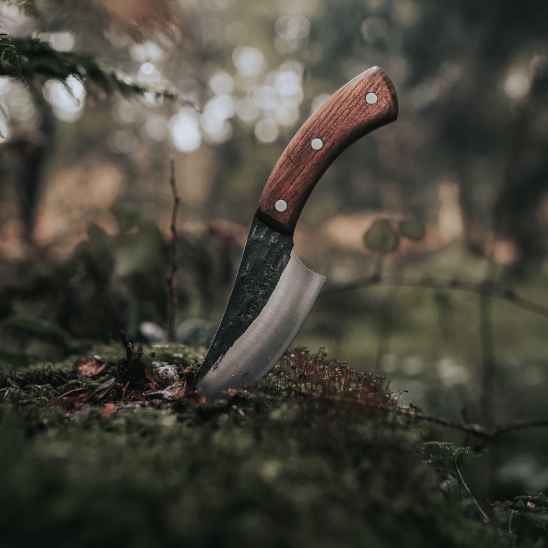 Hanta Hand Forged Precision Knife - TheCookingGuild