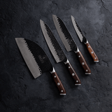 Dynasty Series Hero Knife Set - TheCookingGuild